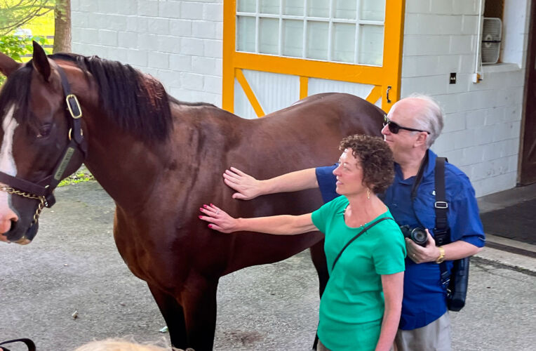Peter and Barb meet War of Will at Claiborne Farm
